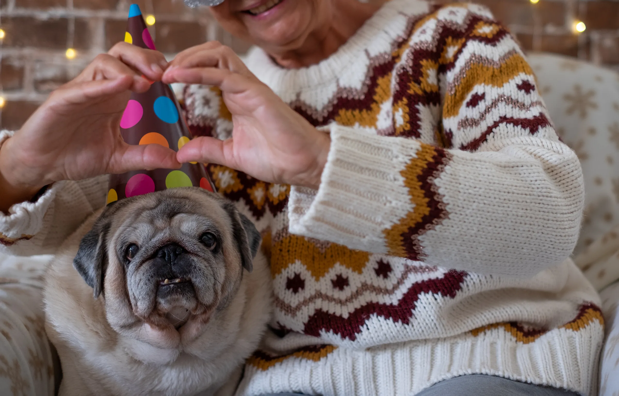 woman making a heart around her pug dog with a birthday hat on