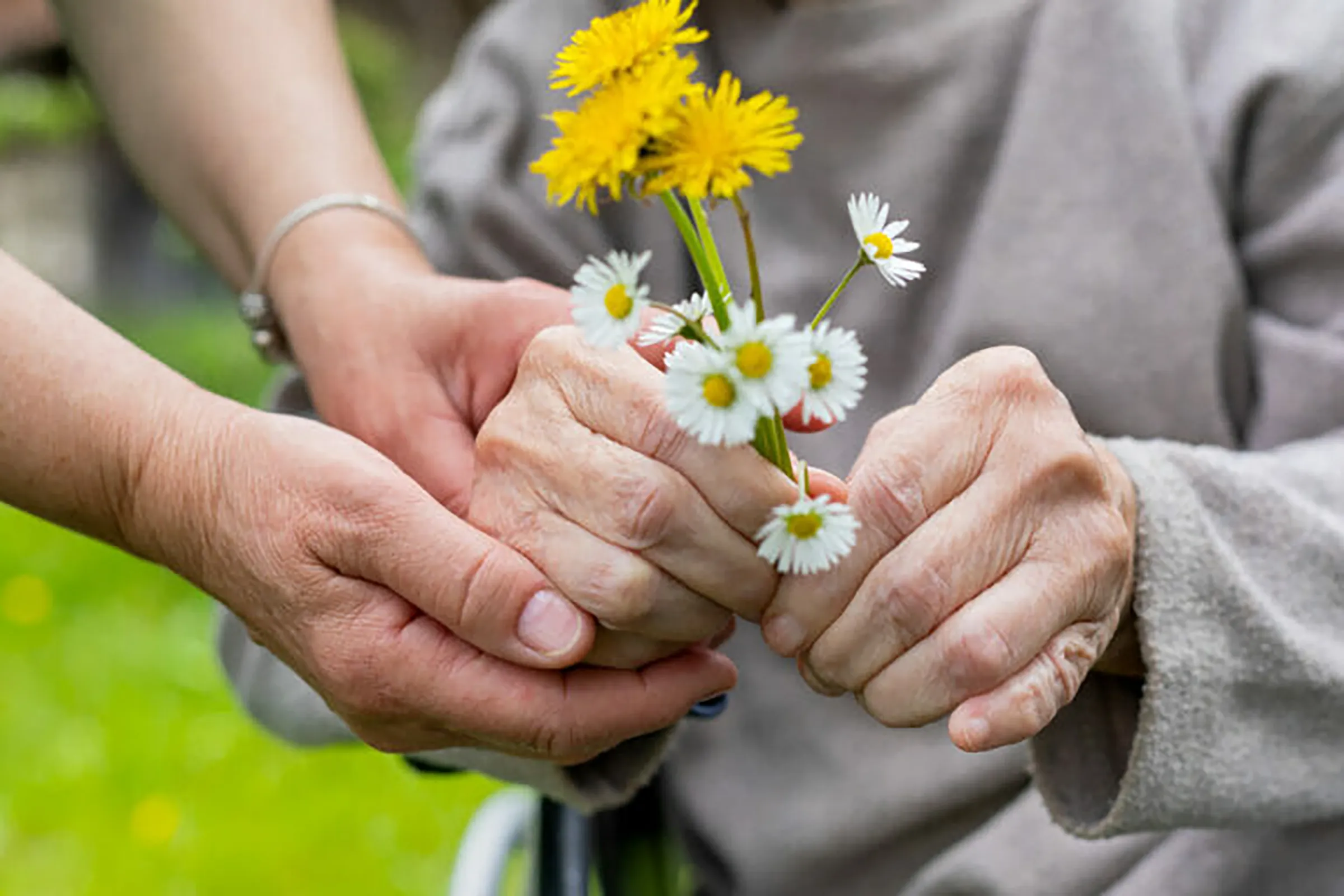 two sets of hands holding flowers
