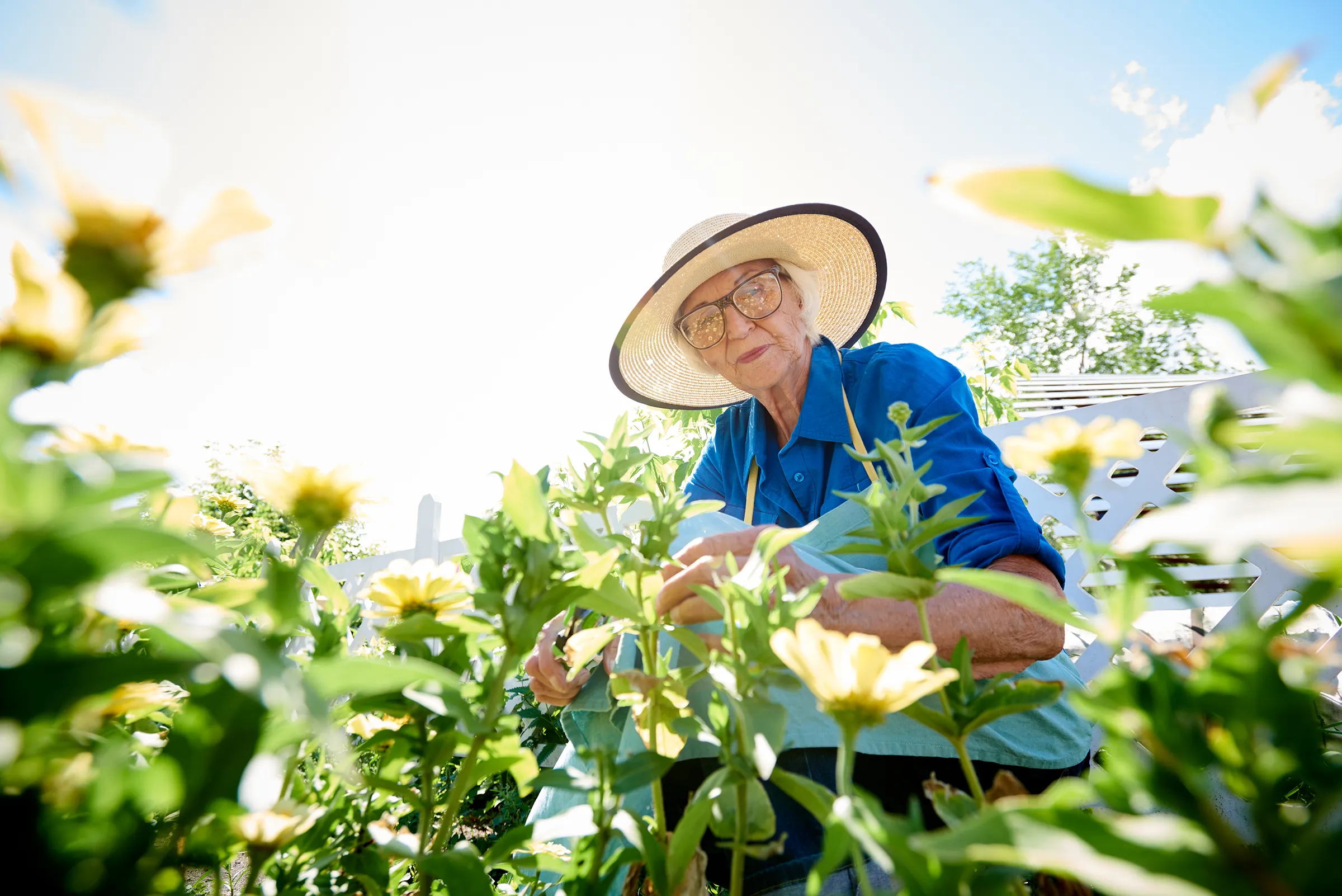 senior woman in sun hat gardening
