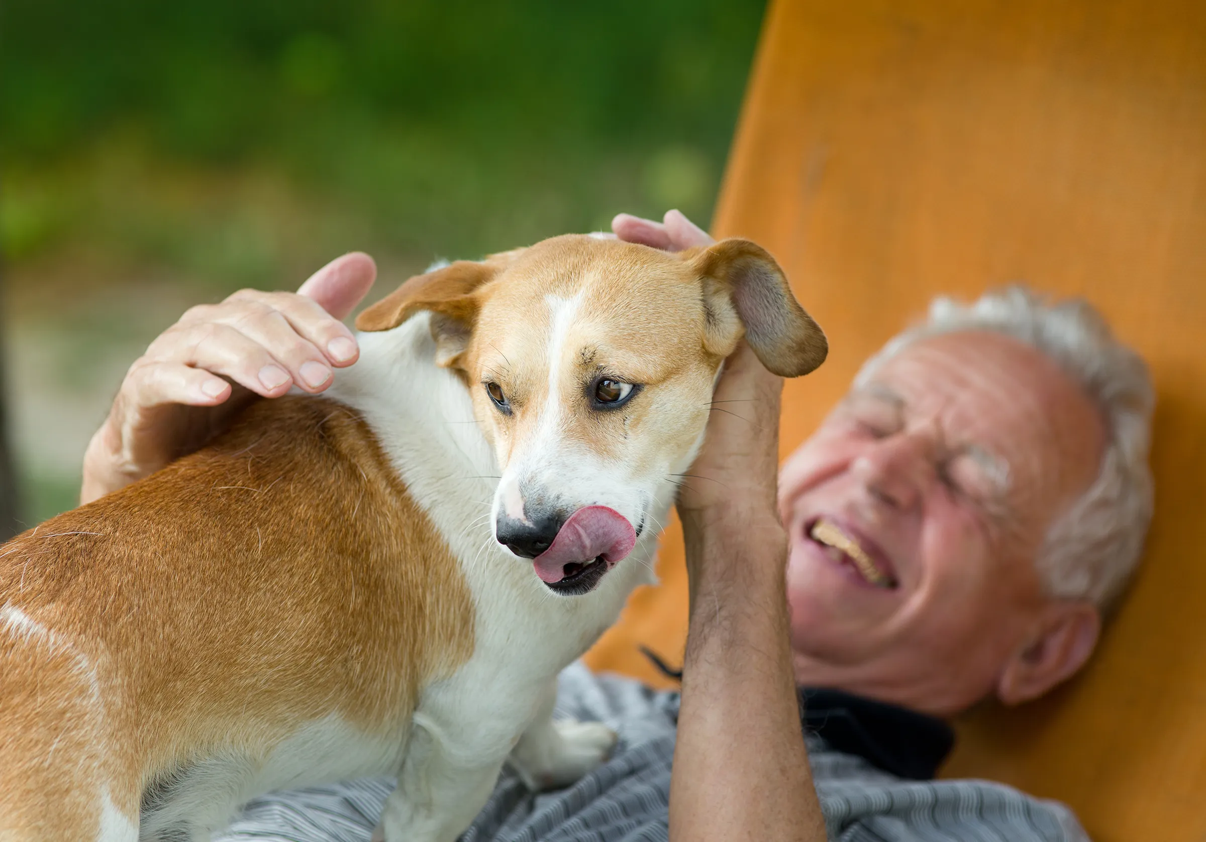 man laughing laying down with dog sticking tounge out