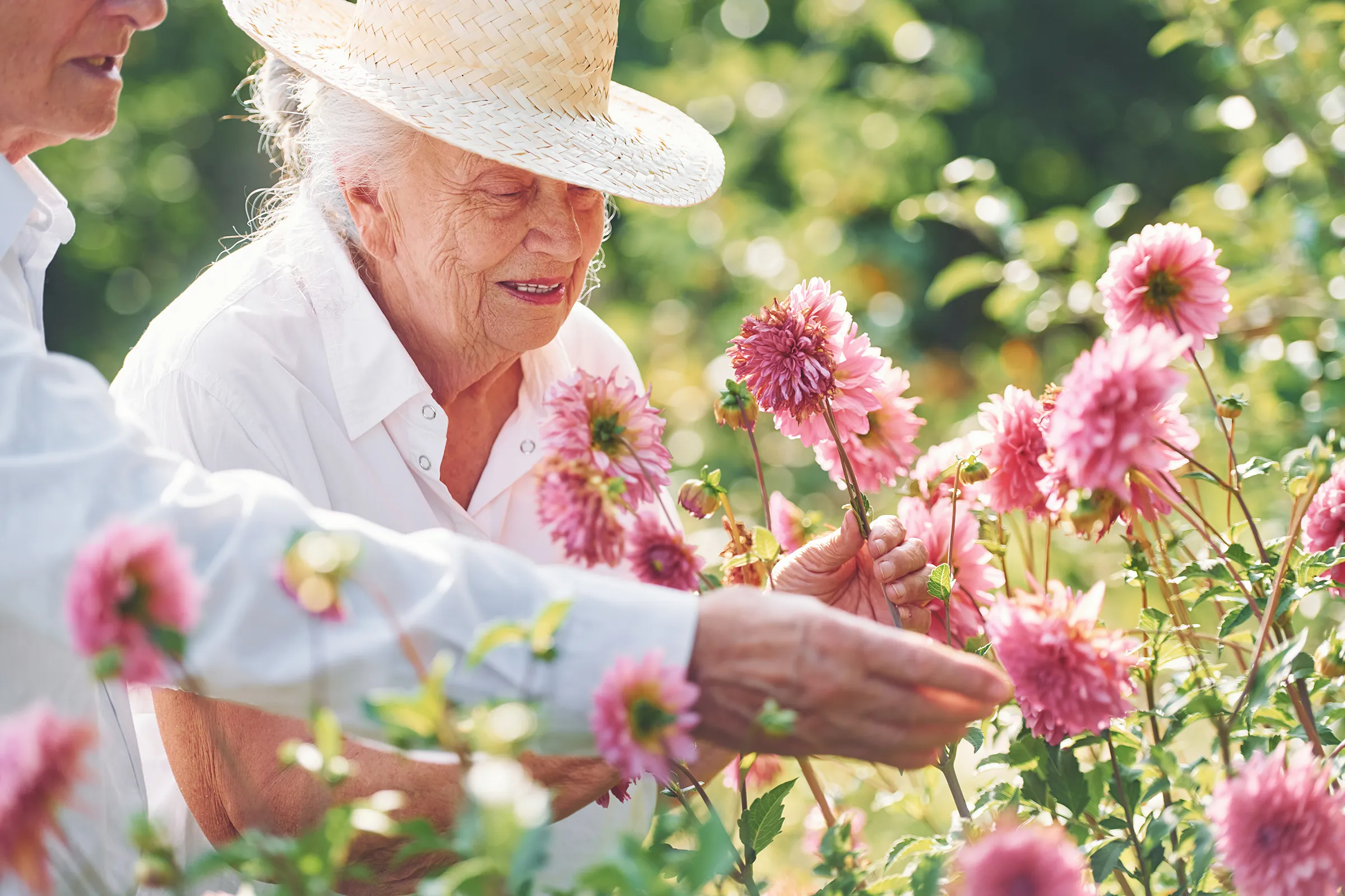 older couple looking at flowers outside in garden