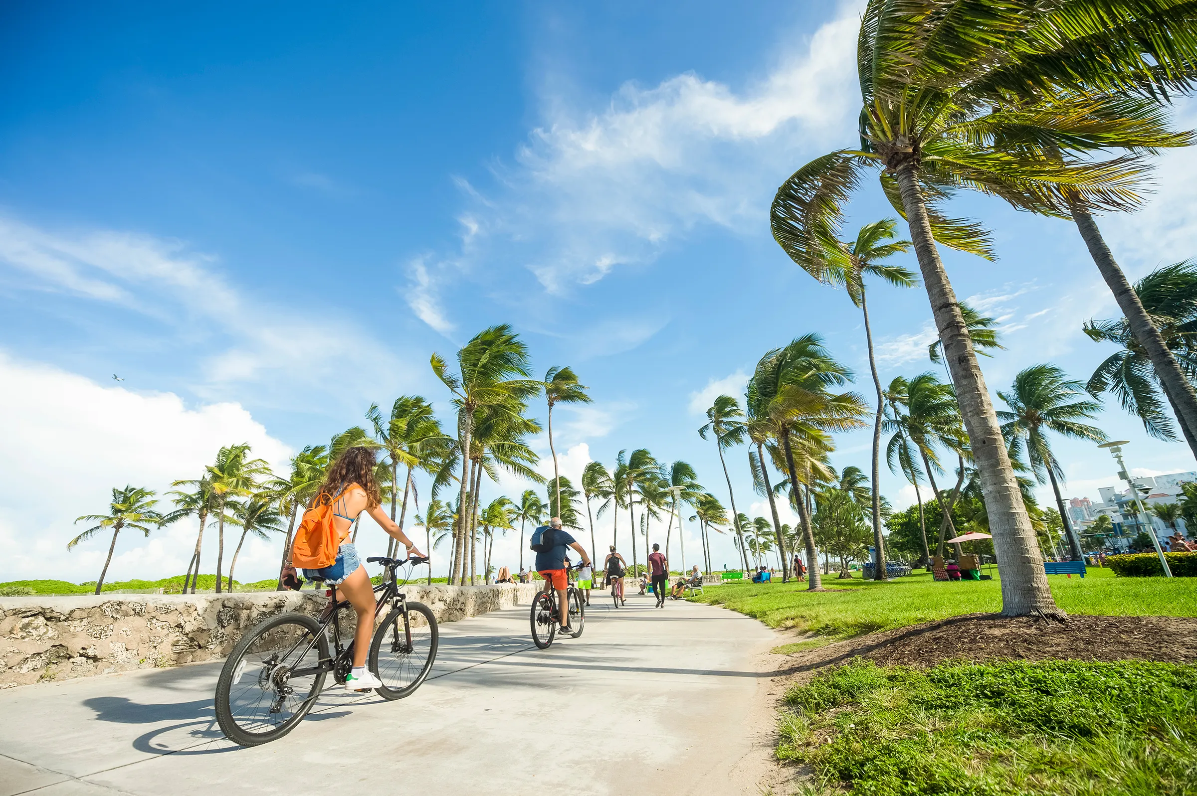 people biking on bath next to florida beach with palm trees